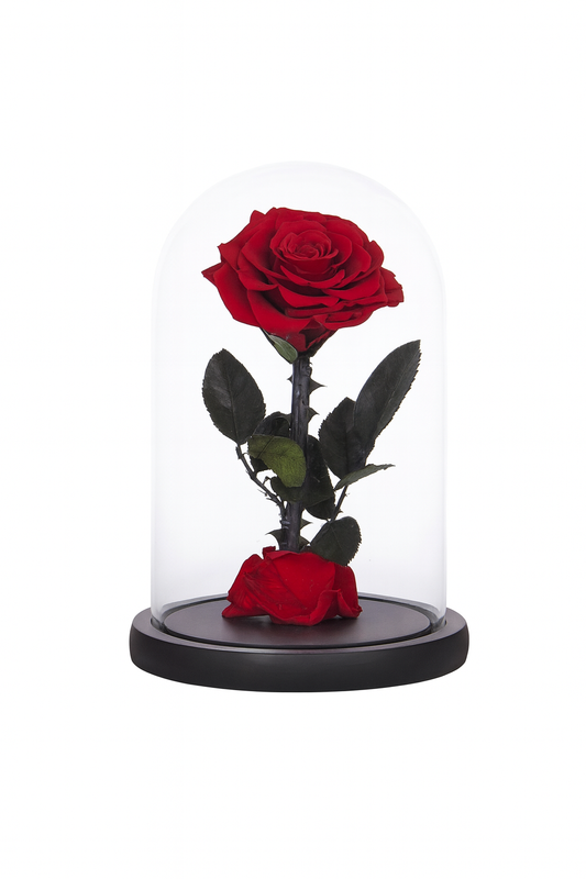 Rose Dome