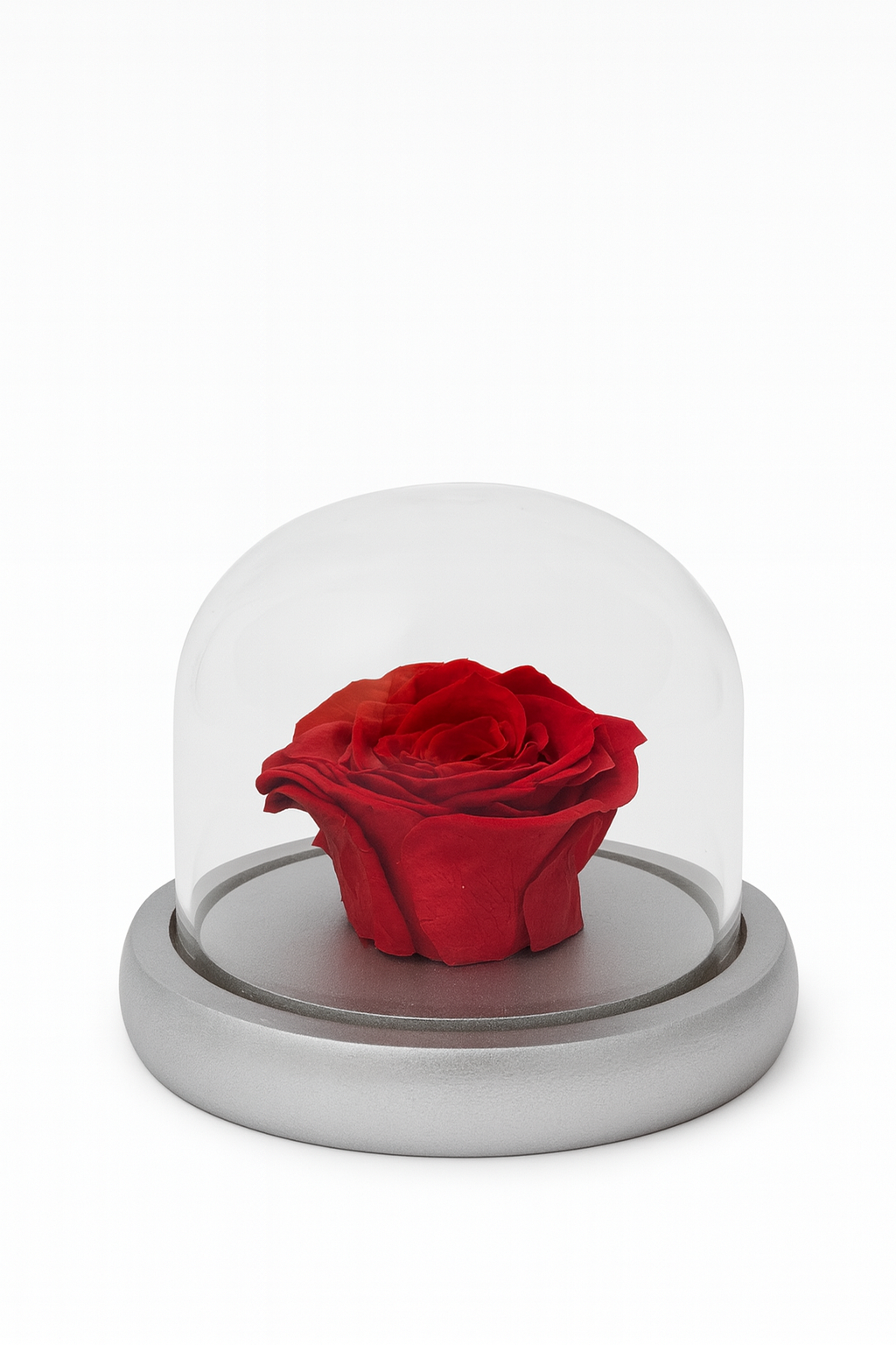 Rose Dome Small