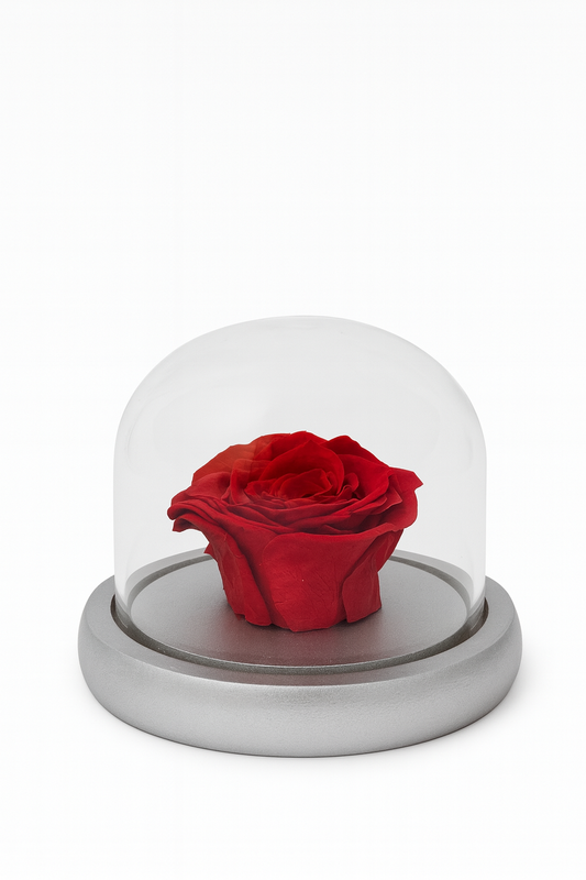 Rose Dome Small