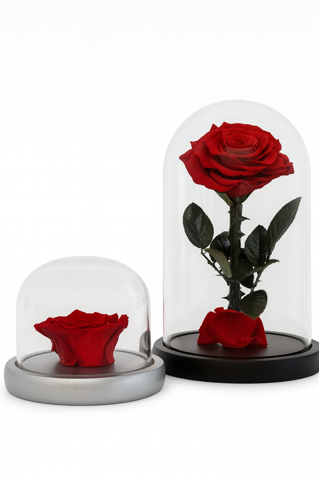 Rose Dome Small