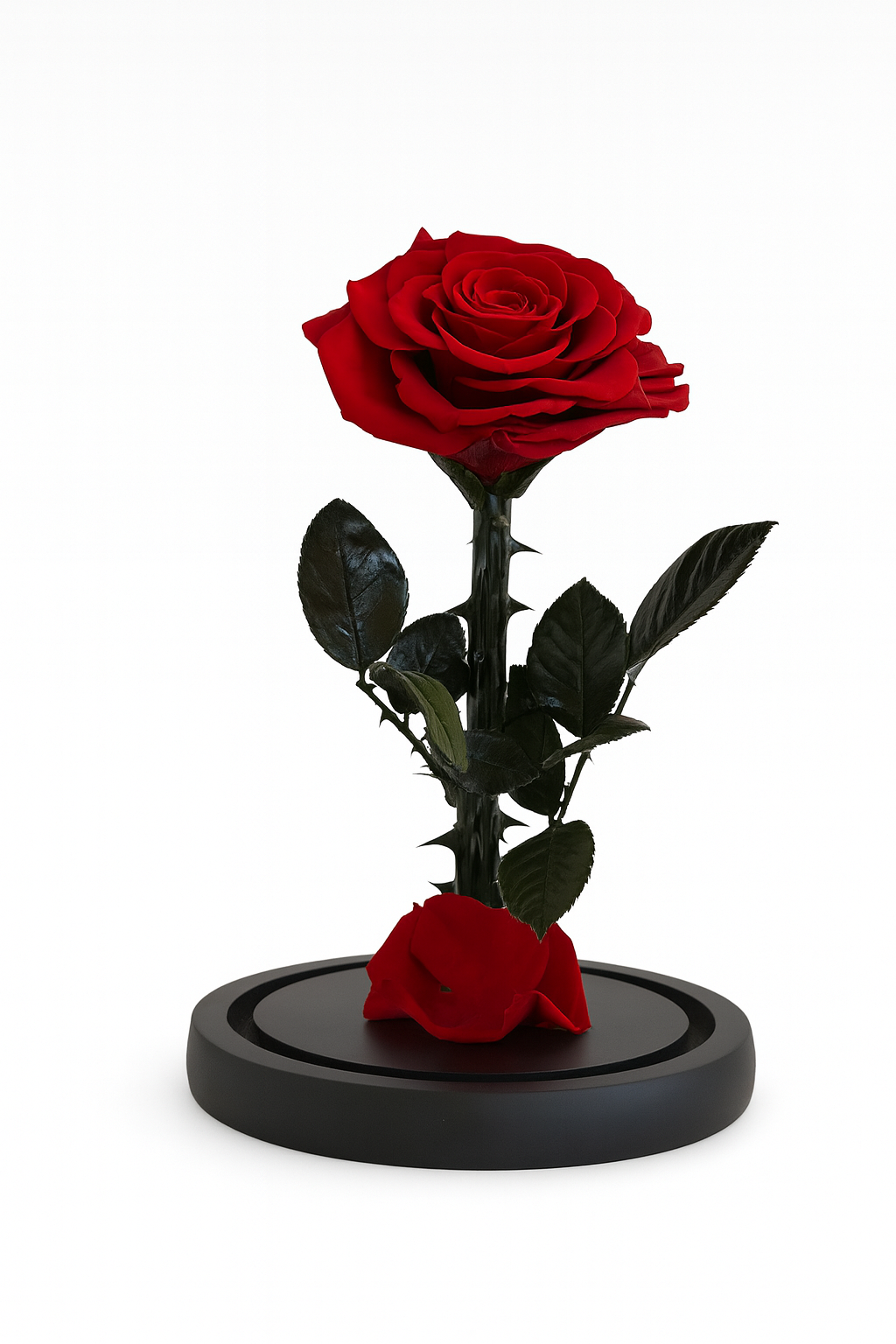 Rose Dome