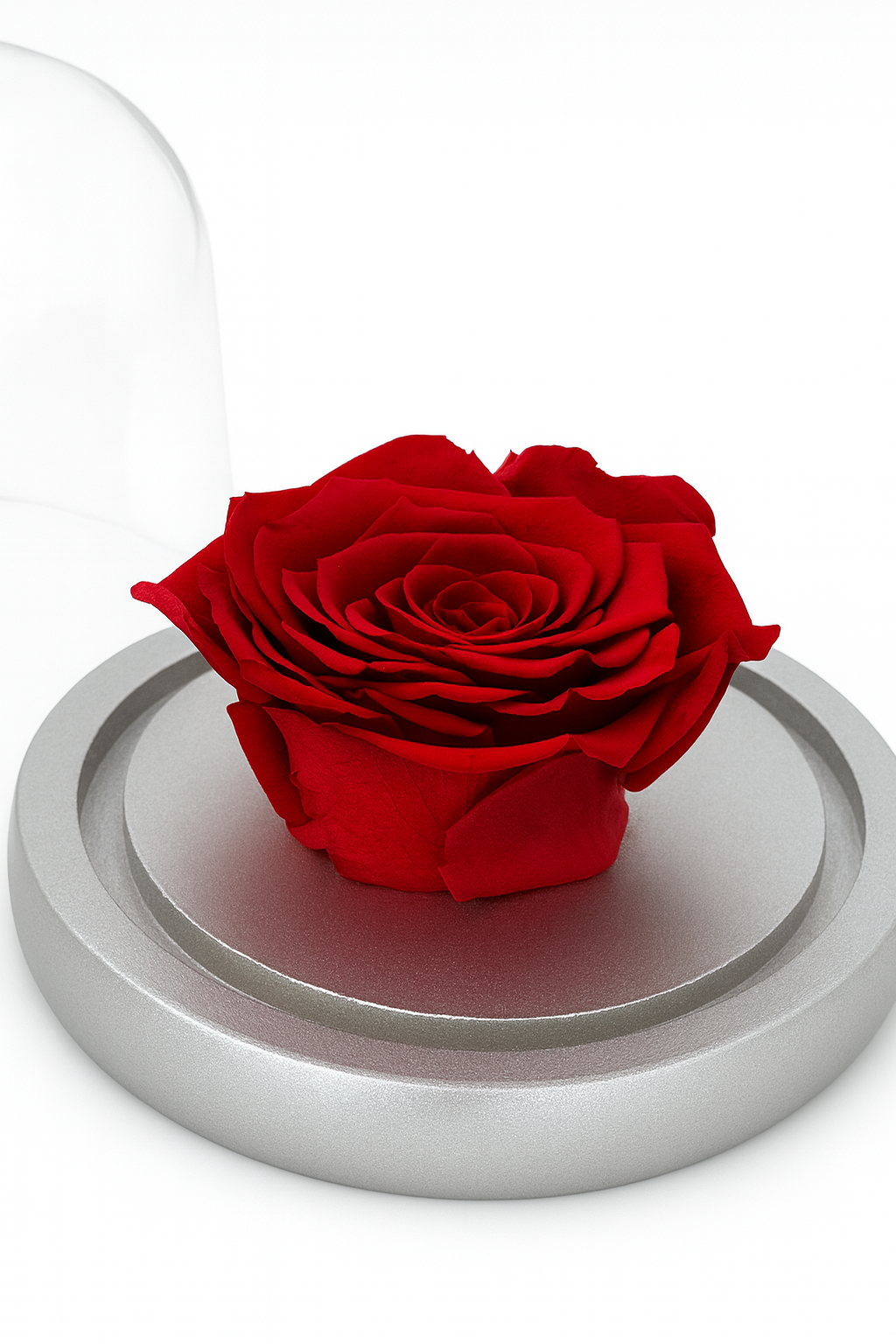 Rose Dome Small