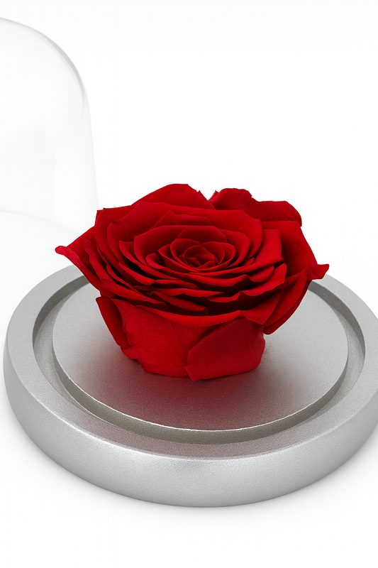 Rose Dome Small