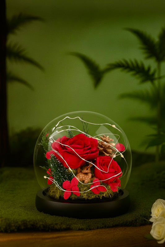 Christmas Garden